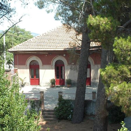 B&B Sotto I Pini Zafferana Etnea Ngoại thất bức ảnh