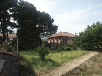 B&B Sotto I Pini Zafferana Etnea Ngoại thất bức ảnh