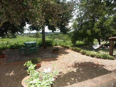 B&B Sotto I Pini Zafferana Etnea Ngoại thất bức ảnh