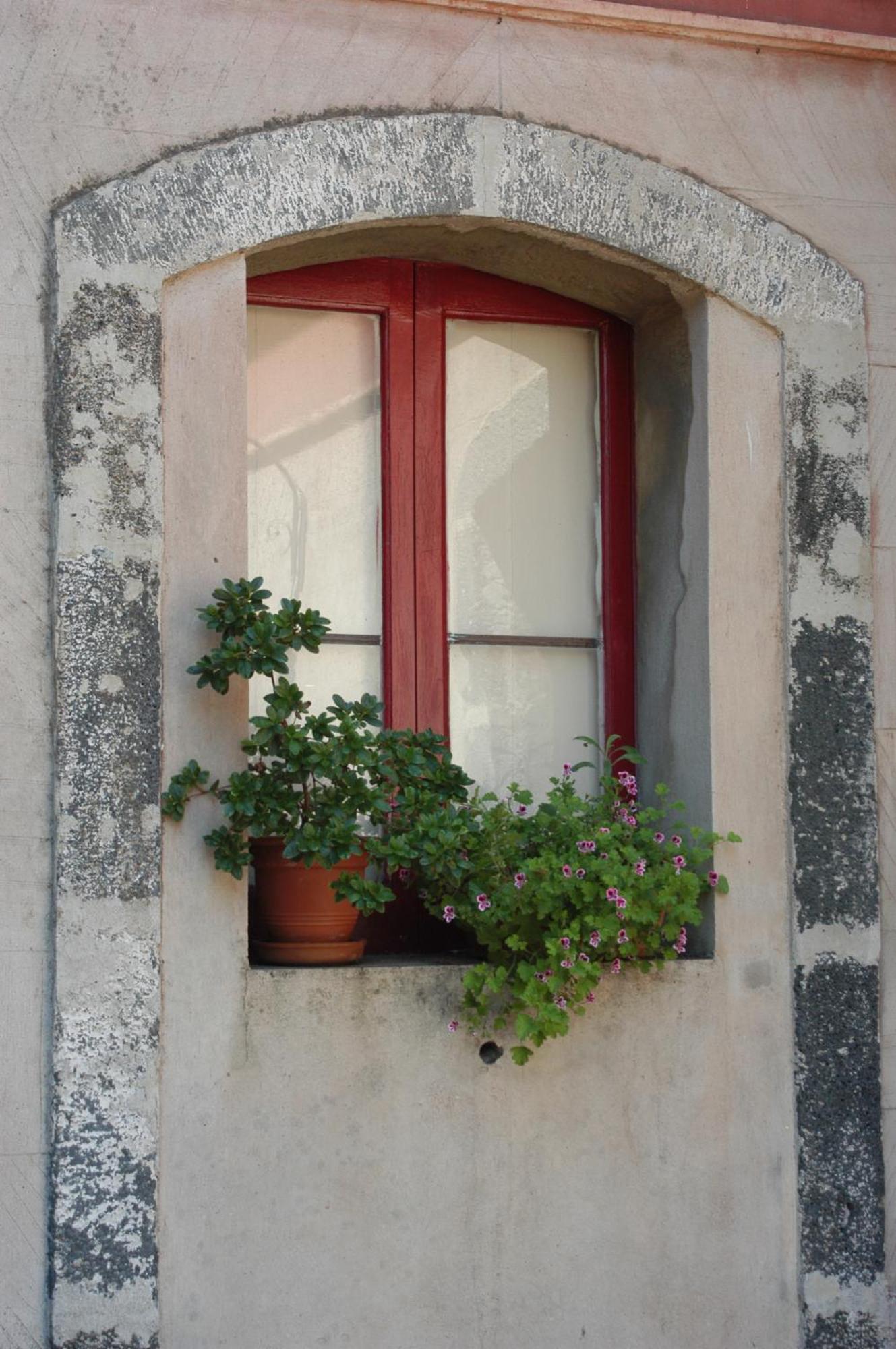 B&B Sotto I Pini Zafferana Etnea Ngoại thất bức ảnh